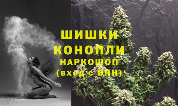меф Арсеньев