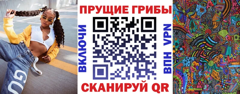 Купить где  Заволжье  Псилоцибиновые грибы MAGIC MUSHROOMS 